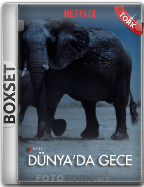BoxSet-1.png