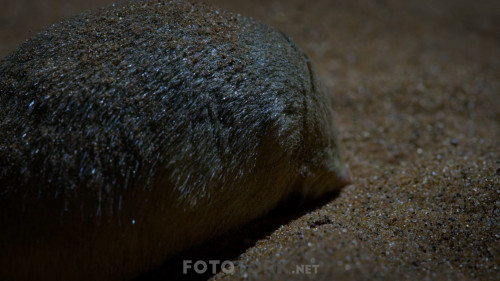 Night-On-Earth---Dunya-da-Gece-S01E02-Mehtapli-Duzlukler.mkv_snapshot_41.36.835.jpg