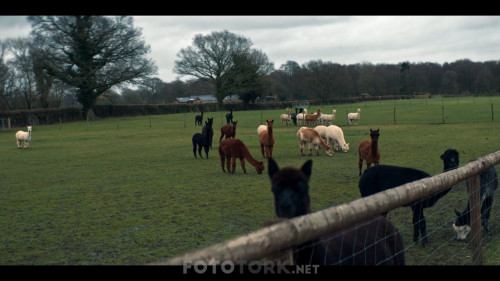 The-Stranger-S01E01.mkv_snapshot_20.12.091.jpg