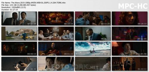 The.Wave.2019.1080p.AMZN.WEB-DL.DDP5.1.H.264.TORK.mkv_thumbs.jpg