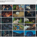 princess.mononoke.SS