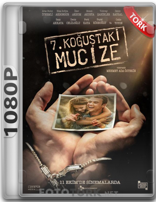 kogus.png