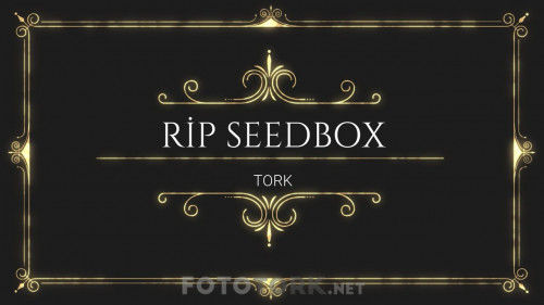 seedbox.jpg