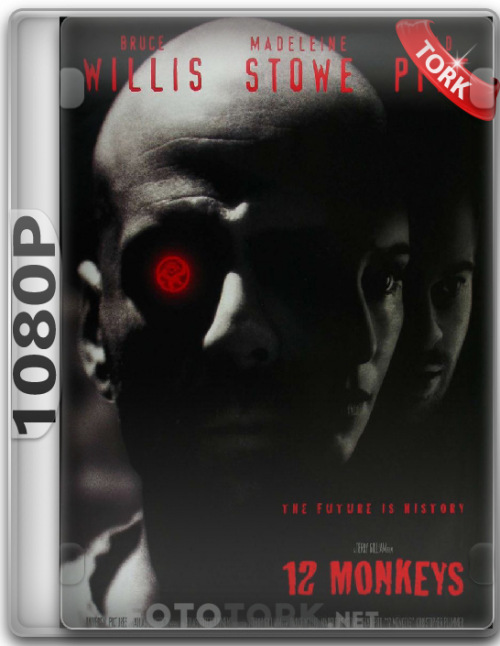 1080p-6.png
