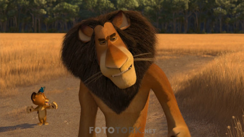 Madagaskar.2.2008.Afrikadan.Kacis.NF.1080p.DDP5.1.AC3.DUAL.TR-ENG.TORK.mkv_snapshot_00.02.00.074.jpg