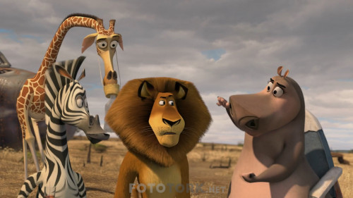 Madagaskar.2.2008.Afrikadan.Kacis.NF.1080p.DDP5.1.AC3.DUAL.TR-ENG.TORK.mkv_snapshot_00.17.36.551.jpg