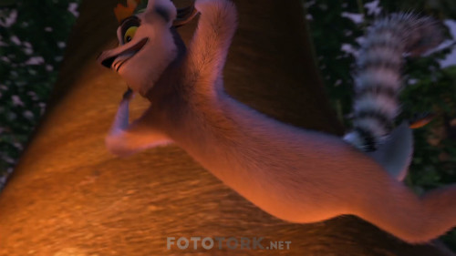 Madagaskar.2005.NF.1080P.DDP5.1.AC3.DUAL.TR-ENG.TORK.mkv_snapshot_00.36.57.037.jpg