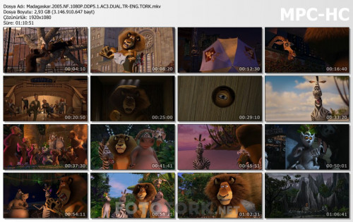 Madagaskar.2005.NF.1080P.DDP5.1.AC3.DUAL.TR-ENG.TORK.mkv_thumbs.jpg