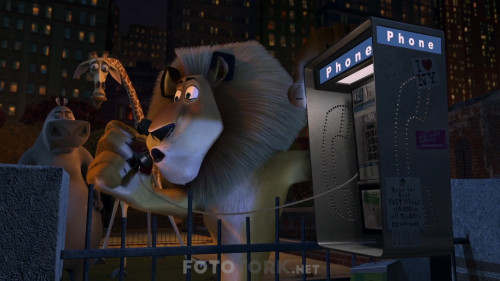 Madagaskar.2005.NF.1080P.DDP5.1.AC3.DUAL.TR-ENG.TORK.mkv_snapshot_00.17.19.092.jpg