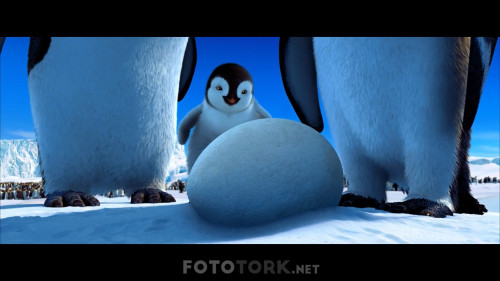 Neseli.Ayaklar.2006.NF.1080p.AAC.DUAL.TR-ENG.TORK.mkv_snapshot_00.07.40.415.jpg