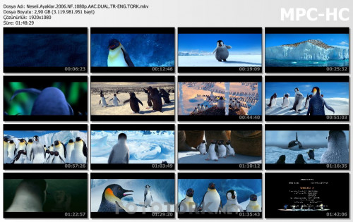 Neseli.Ayaklar.2006.NF.1080p.AAC.DUAL.TR-ENG.TORK.mkv_thumbs.jpg
