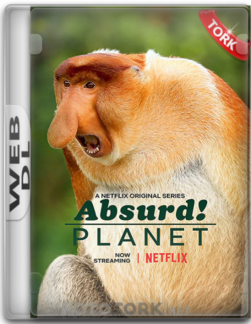 WeB-DL.jpg