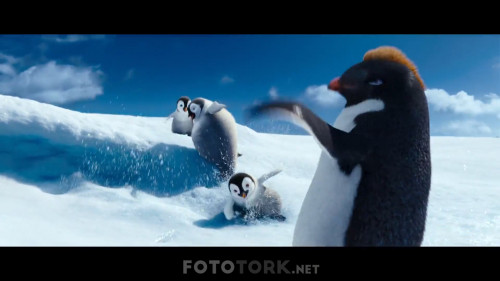 Neseli.Ayaklar.2.2011.NF.1080p.AC3.DUAL.TR-ENG.TORK.mkv_snapshot_00.11.36.234.jpg