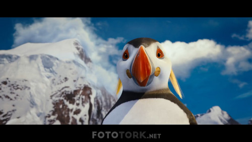 Neseli.Ayaklar.2.2011.NF.1080p.AC3.DUAL.TR-ENG.TORK.mkv_snapshot_00.24.07.364.jpg