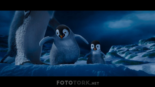 Neseli.Ayaklar.2.2011.NF.1080p.AC3.DUAL.TR-ENG.TORK.mkv_snapshot_00.44.34.299.jpg