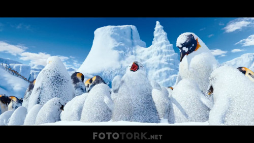 Neseli.Ayaklar.2.2011.NF.1080p.AC3.DUAL.TR-ENG.TORK.mkv_snapshot_01.05.55.789.jpg