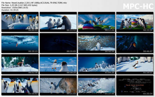 Neseli.Ayaklar.2.2011.NF.1080p.AC3.DUAL.TR-ENG.TORK.mkv_thumbs.jpg