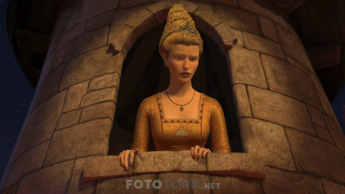Shrek.3.2007.NF.1080p.WEB-DL.AC3.DUAL.TR-ENG.TORK.mkv_snapshot_01.13.52.511.jpg