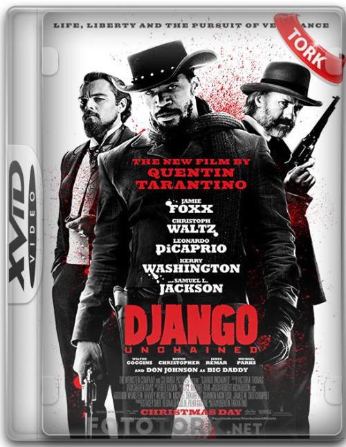 Xvid.jpg