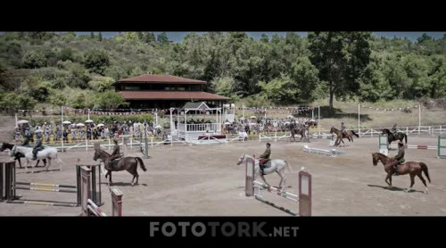 Cicero.2019.NF.XviD.WEB-DL.by.cideli37.TORK.avi_snapshot_00.37.24.208.jpg