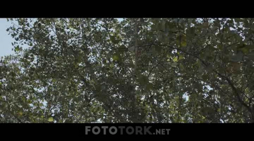 Cicero.2019.NF.XviD.WEB-DL.by.cideli37.TORK.avi_snapshot_01.25.36.992.jpg