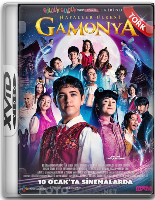 Xvid.jpg