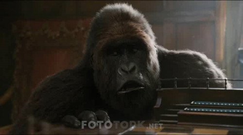 Dolittle.2020.BRRip.XviD.TRDUB.TORK.avi_snapshot_00.09.16.014.jpg