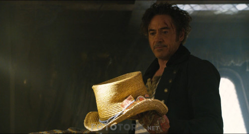 Dolittle.2020.BluRay.1080p.H264.AC3.DUAL.TR-ENG.TORK.mkv_snapshot_01.10.44.661.jpg