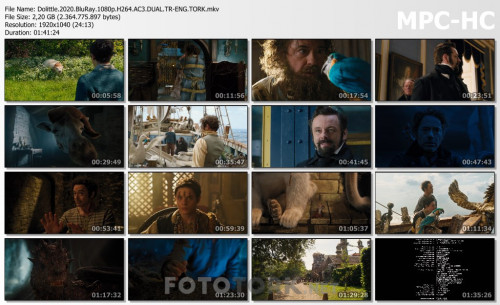 Dolittle.2020.BluRay.1080p.H264.AC3.DUAL.TR-ENG.TORK.mkv_thumbs.jpg
