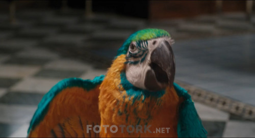 Dolittle.2020.BluRay.720p.H264.AC3.DUAL.TR-ENG.TORK.mkv_snapshot_00.17.07.152.jpg