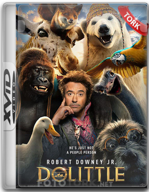 Xvid.jpg