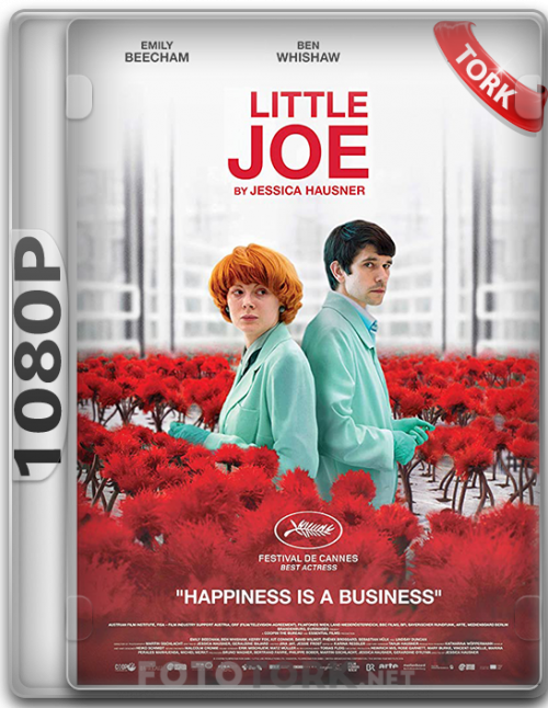 joe1080p.png