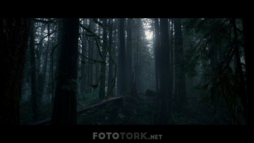 Dirilis.The.Revenant.2015.NF.1080p.WEB-DL.DD5.1.DUAL.TR-ENG.TORK.mkv_snapshot_00.22.30.599.jpg