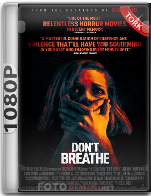 1080p2cb88a7a8cddab3d.png