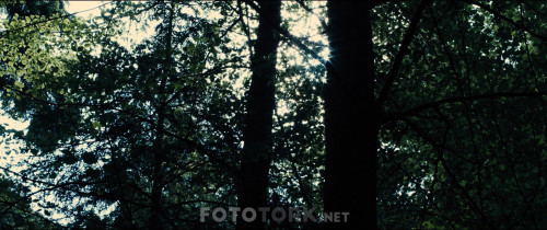 Morgan.2016.BluRay.1080p.H264.AC3.DUAL.TR-ENG.TORK.mkv_snapshot_00.34.28.444.jpg