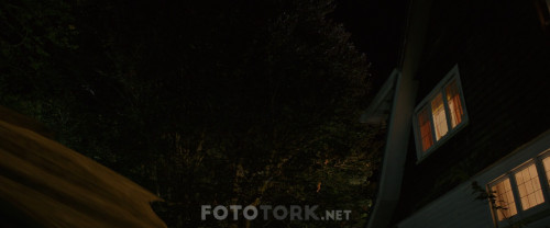 Pete.ve.Ejderhasi.Petes.Dragon.2016.BluRay.1080p.x264.AC3.DUAL.TR-ENG.TORK.mkv_snapshot_00.55.51.223.jpg