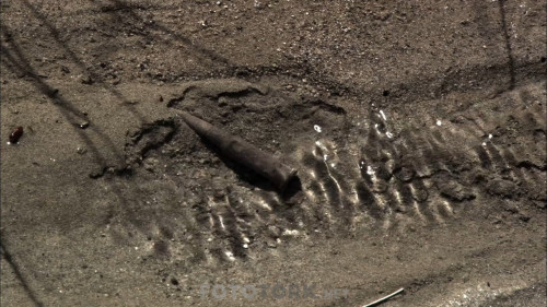 Gelibolu.2005.NF.1080p.Yerli.WEB-DL.x264.AAC.DUAL.TR-ENG.TORK.mkv_snapshot_00.43.03.280.jpg