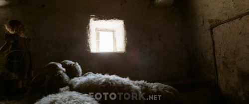 Gizli.Bir.Yasam.A.Hidden.Life.2019.BluRay.720p.H264.AC3.DUAL.TR-ENG.TORK.mkv_snapshot_02.45.29.179.jpg