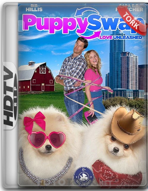 HDTvRip.png