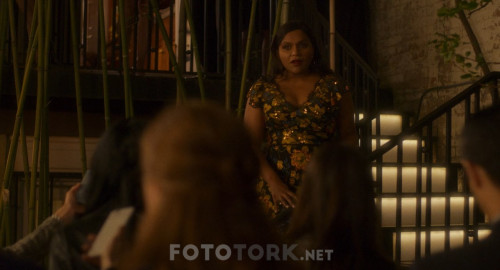 Gece.Kusu.Late.Night.2019.BluRay.720p.H264.AC3.DUAL.TR-ENG.TORK.mkv_snapshot_00.45.07.916.jpg