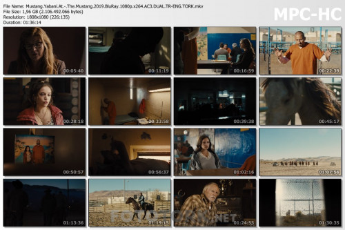 Mustang.Yabani.At.-.The.Mustang.2019.BluRay.1080p.x264.AC3.DUAL.TR-ENG.TORK.mkv_thumbs.jpg