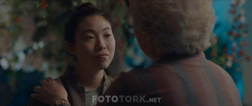 Elveda.The.Farewell.2019.BluRay.1080p.x264.AC3.DUAL.TR-ENG.TORK.mkv_snapshot_00.38.51.791.jpg
