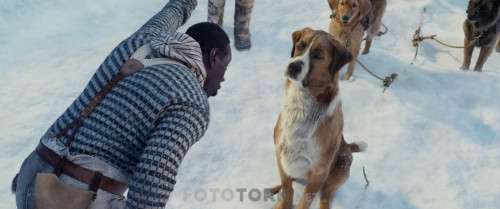 Vahsetin.Cagrisi.The.Call.of.the.Wild.2020.BluRay.1080p.x264.DUAL.TR-ENG.TORK.mkv_snapshot_00.33.24.014.jpg