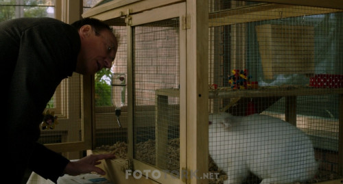 Guest.of.Honour.2019.WEB-DL.1080p.x264.AC3.DUAL.TR-ENG.TORK.mkv_snapshot_00.11.24.366.jpg