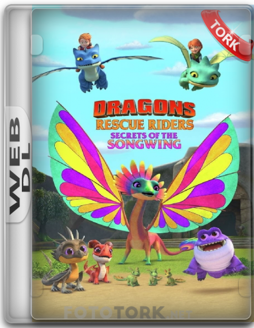 WeB-DL.png