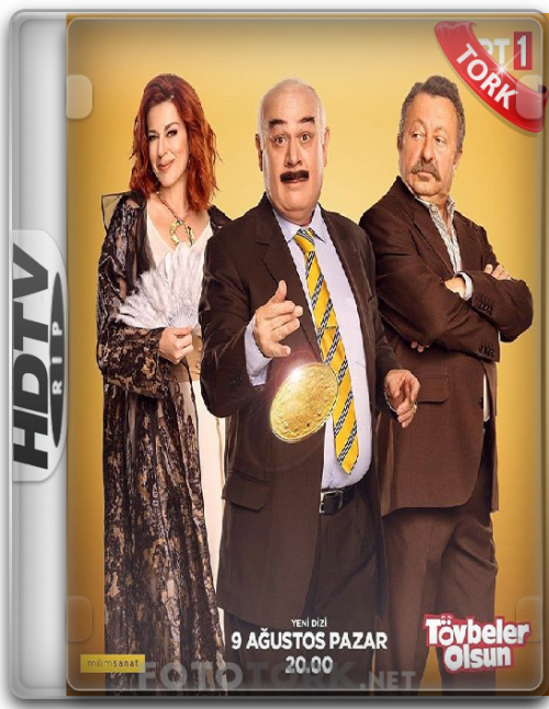 HDTvRipc348ac370e860bd8.png