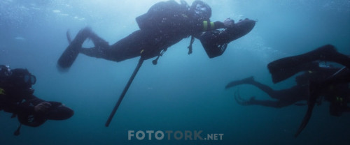 Mavi.Korku.3.Deep.Blue.Sea.3.2020.BluRay.1080p.AC3.DUAL.TR-ENG.TORK.mkv_snapshot_00.20.18.568.jpg