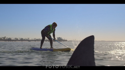 Yeni.Dalga.Malibu.Rescue.2020.NF.1080p.WEB-DL.E.AC3.DD5.1.DUAL.TR-ENG.TORK.mkv_snapshot_00.00.36.202.jpg