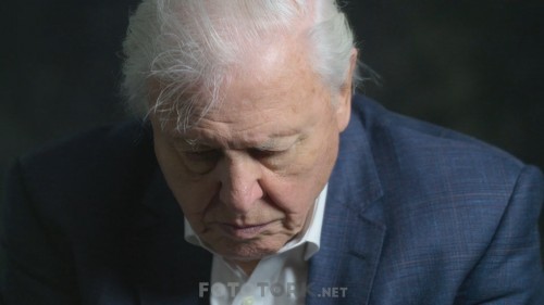 David.Attenborough.Gezegenimizden.Bir.Yasam.2020.NF.1080p.WEBRip.DD.5.1.E.AC3.TORK.mkv_snapshot_00.47.59.168.jpg