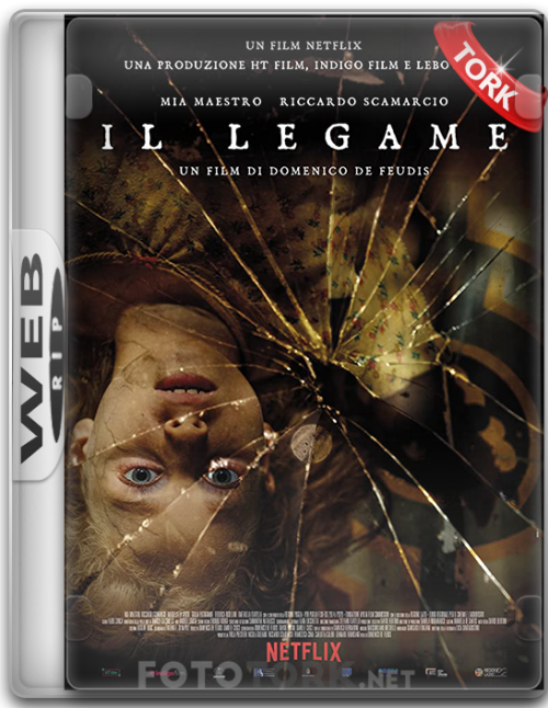 Il.legame.png